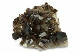 Dark Smoky Quartz Crystal Cluster - Brazil #302208-1